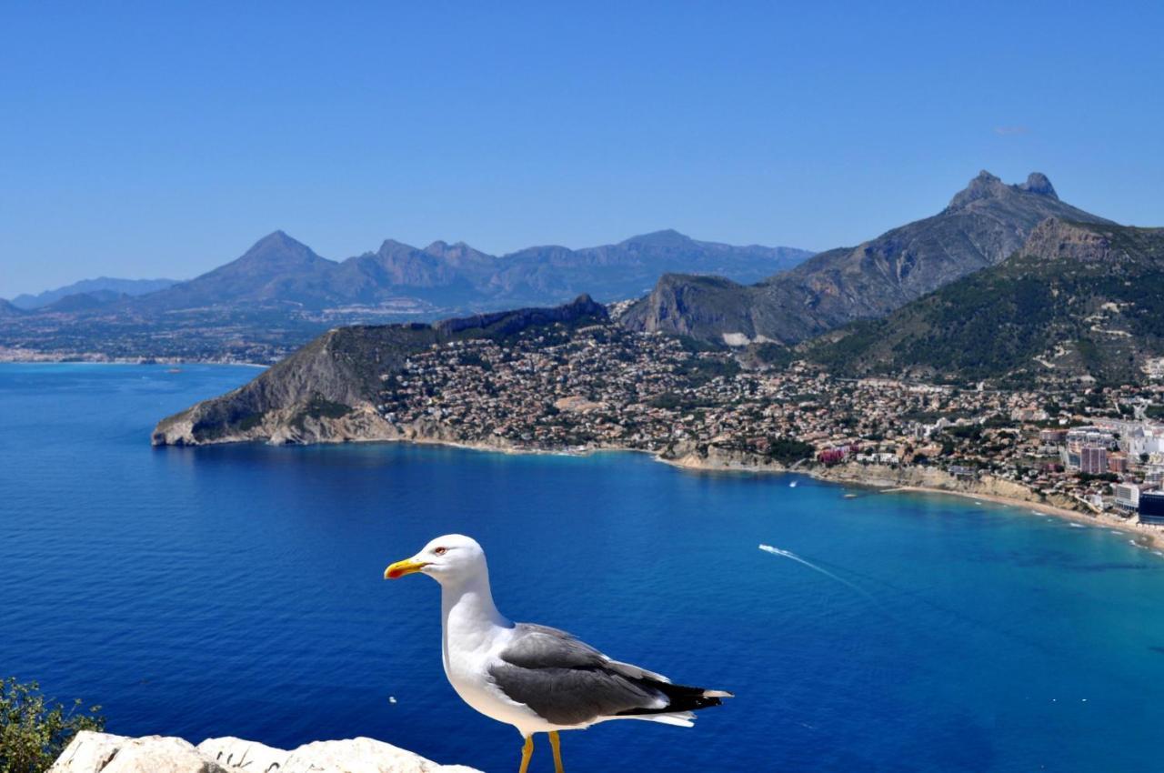 Maryvilla 0220 Calp Dış mekan fotoğraf